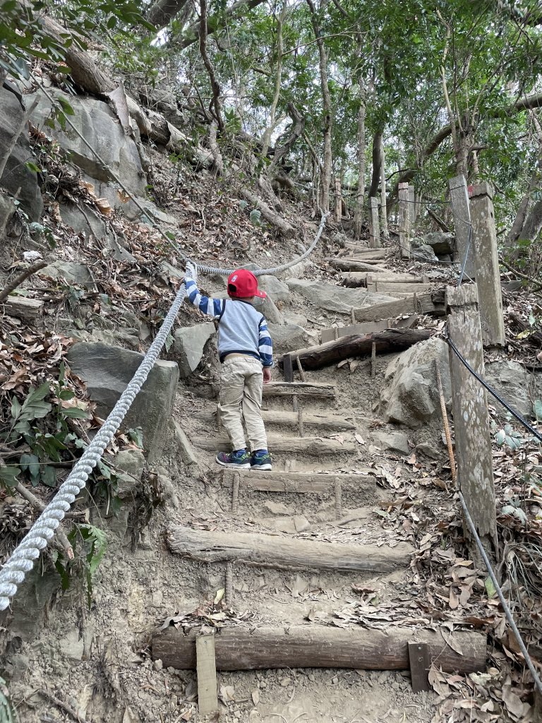 龍麟山父子三人行封面圖