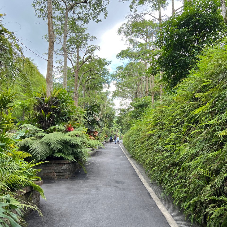 文山森林公園封面圖