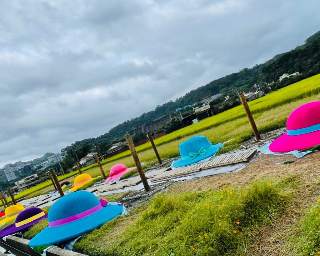 桃園大溪-花彩節🌼李騰芳古厝-月眉落雨松_2934759