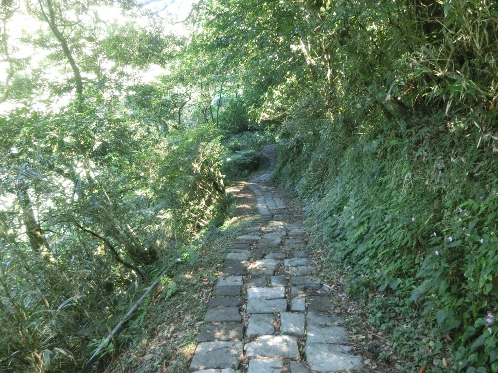 百拉卡人車分道_672956