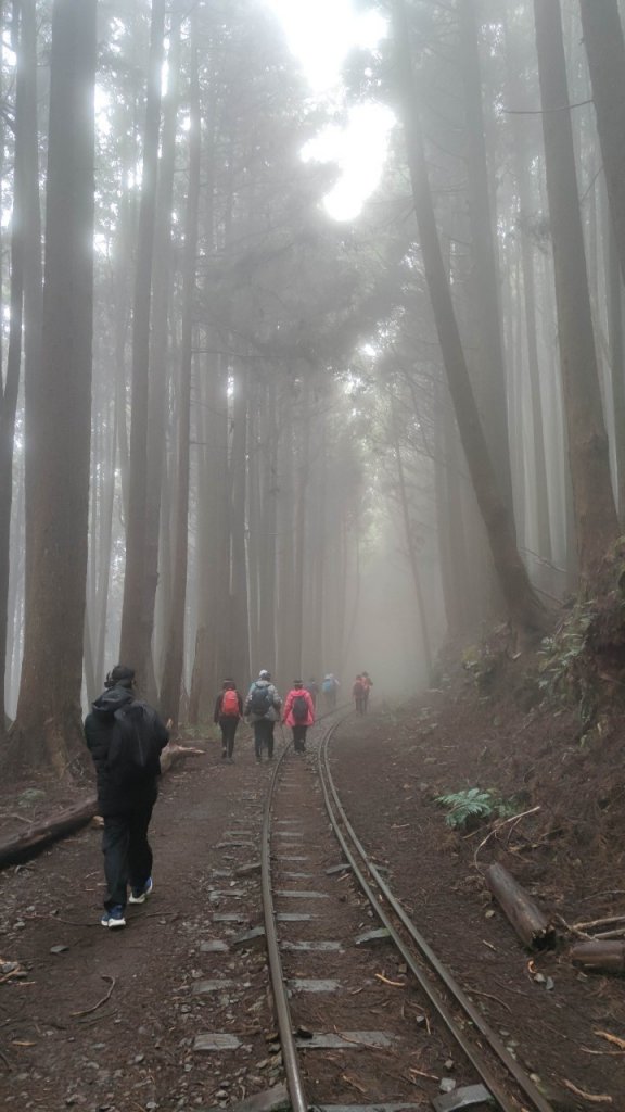 1101109 眠月線_1621278