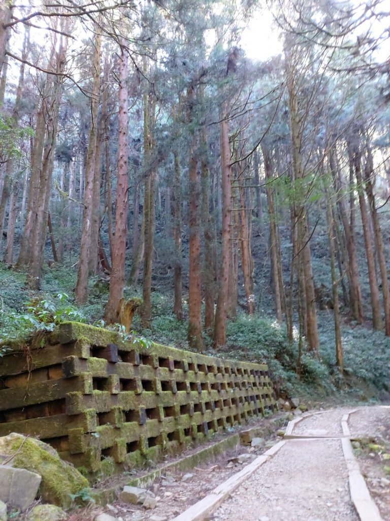 1081116特富野古道_737477