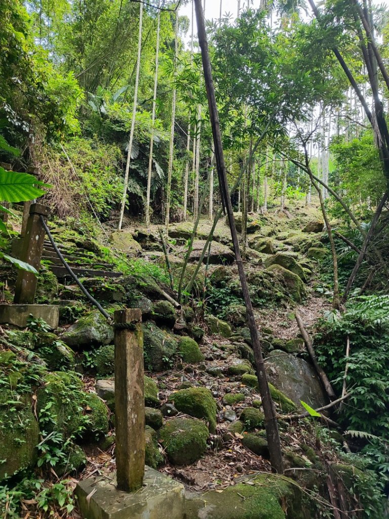 微笑山線之望月亭段_2849011