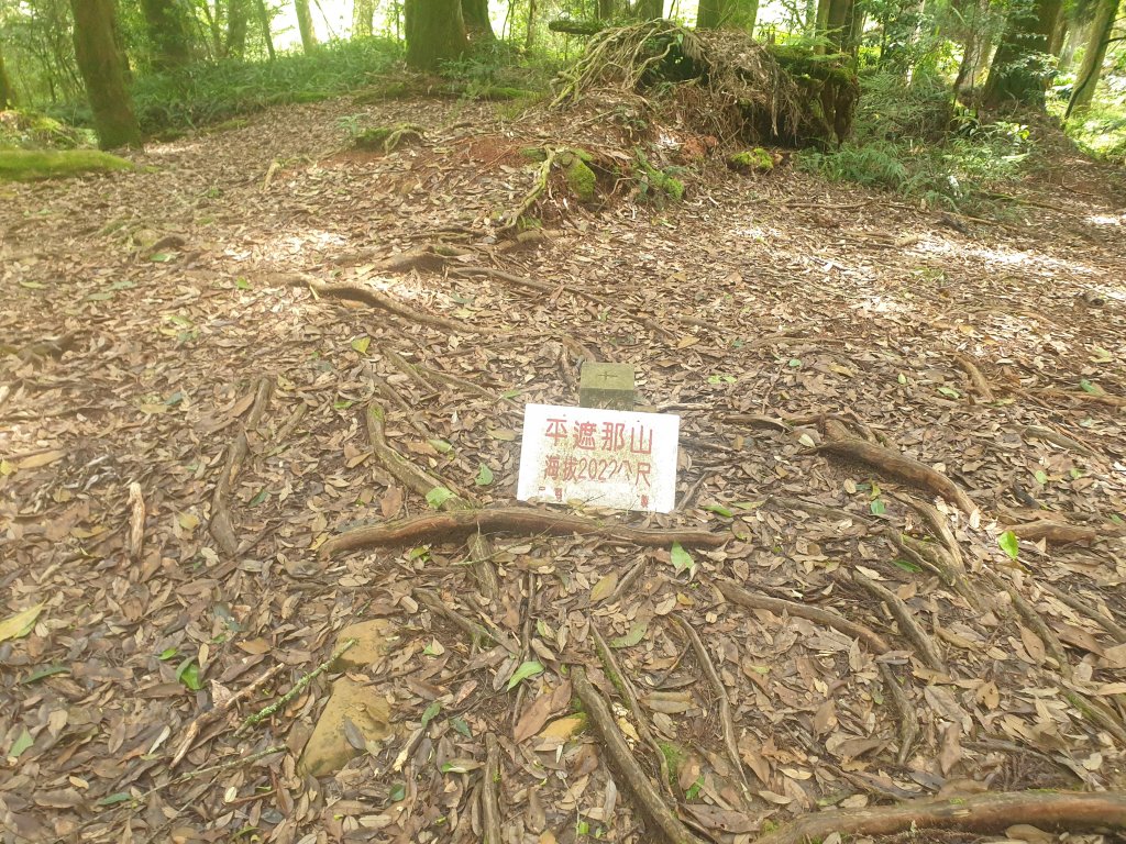 20220716鹿林神木、二萬坪步道、二萬坪山、屏遮那山_1774967