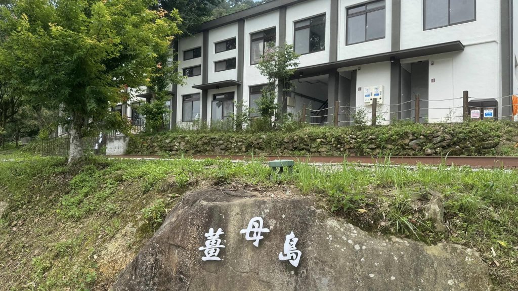 20240429 桃園復興枕頭山薑母島_2492254