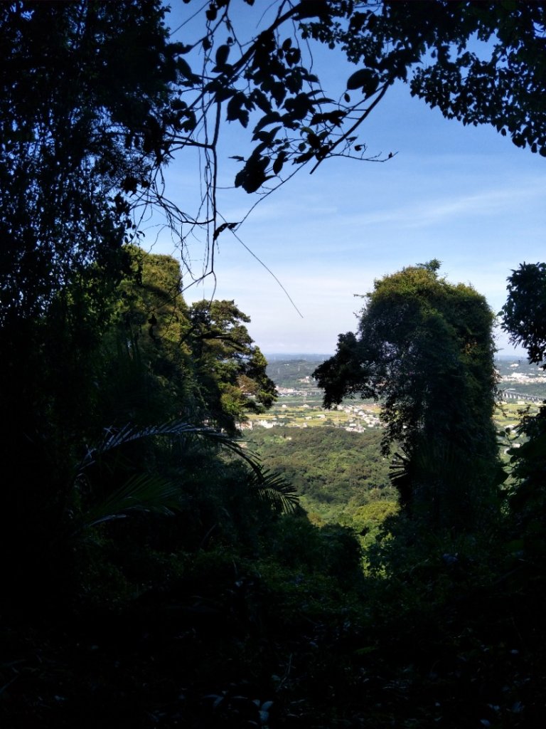 飛鳳山、觀日坪古道_1750072