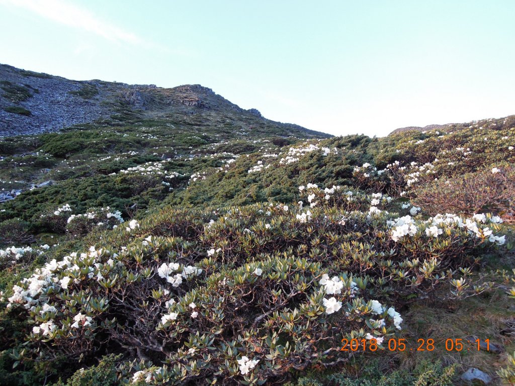 20180827-28_雪山主東_852896