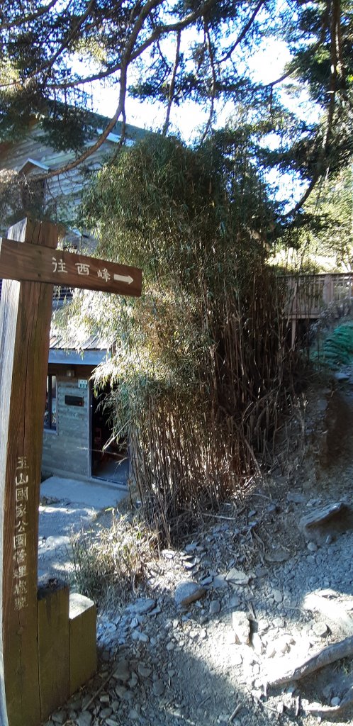 玉山前四峰之旅_869353