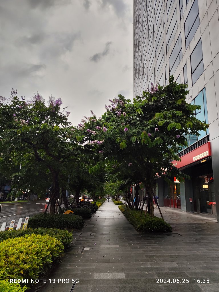 大安森林公園【走路趣尋寶】；大港墘公園、瑞陽公園【臺北健走趣】_2535183