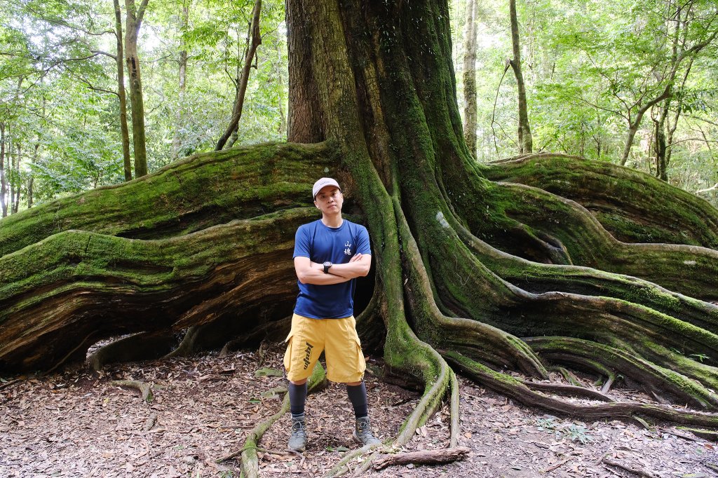 雪見大板根_2924688