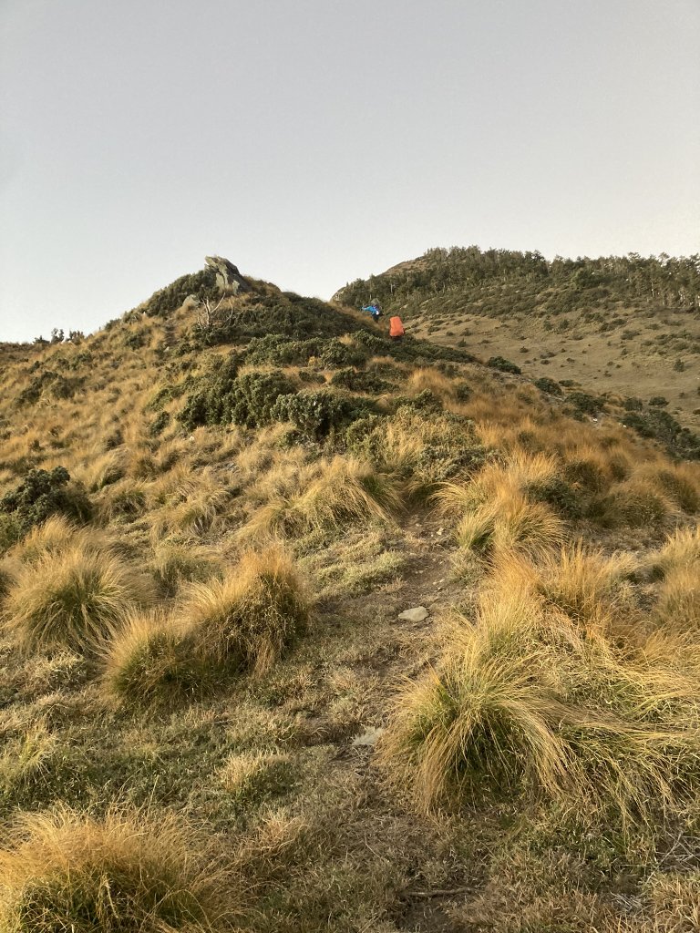 2022.12.15_20干卓萬橫斷_2012498