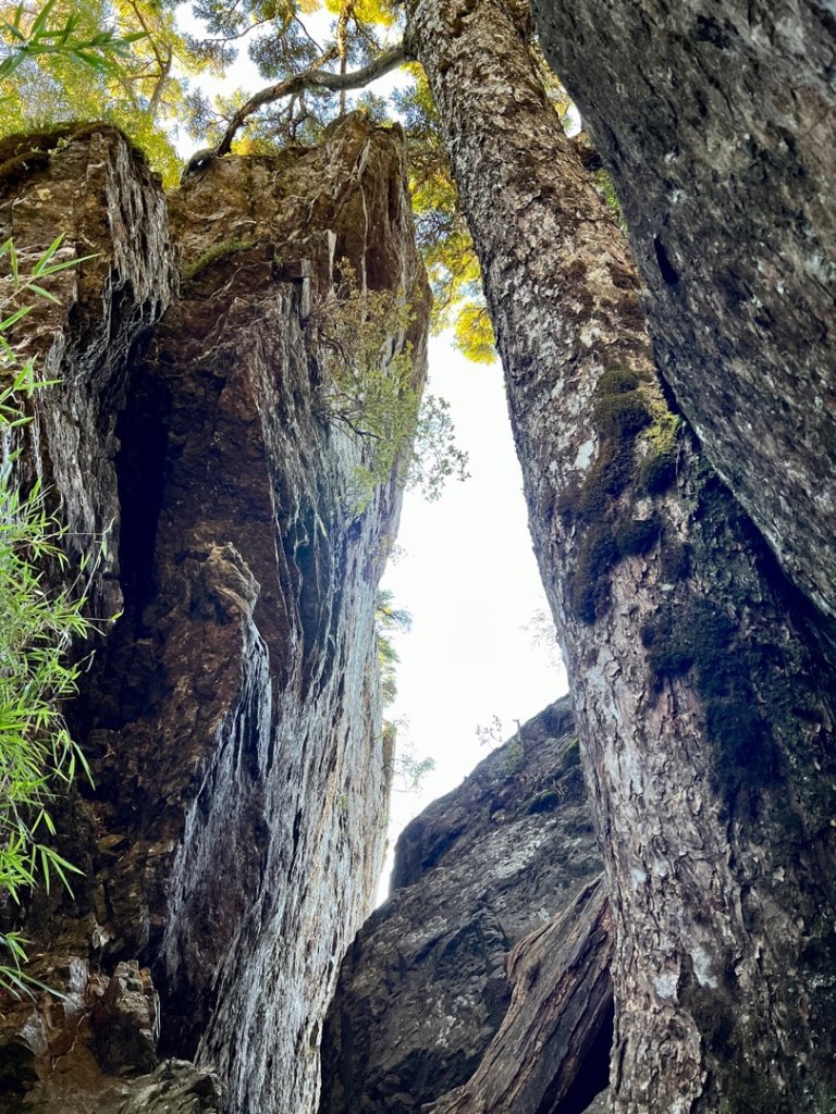 值得為它緩慢⋯白姑大山_1487707