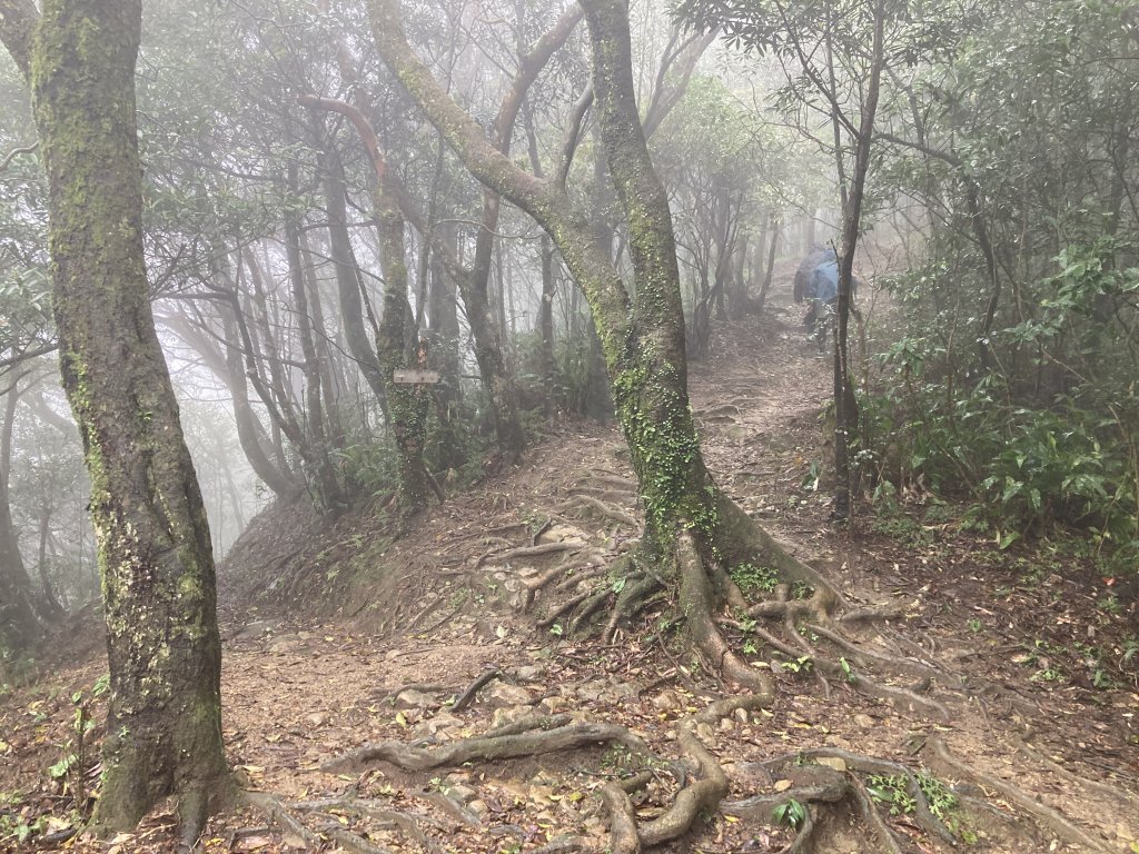 獅仔頭山登山步道_2437081