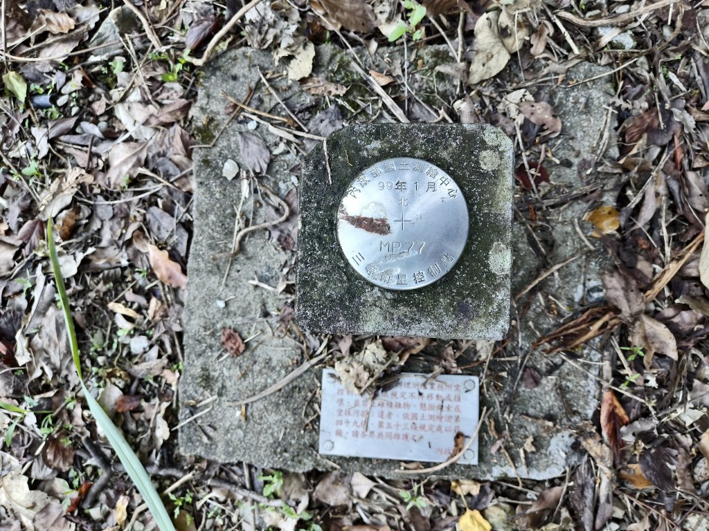 [玉山尋寶任務-07/12] 2025_0824 八通關雲龍瀑布步道_2870379