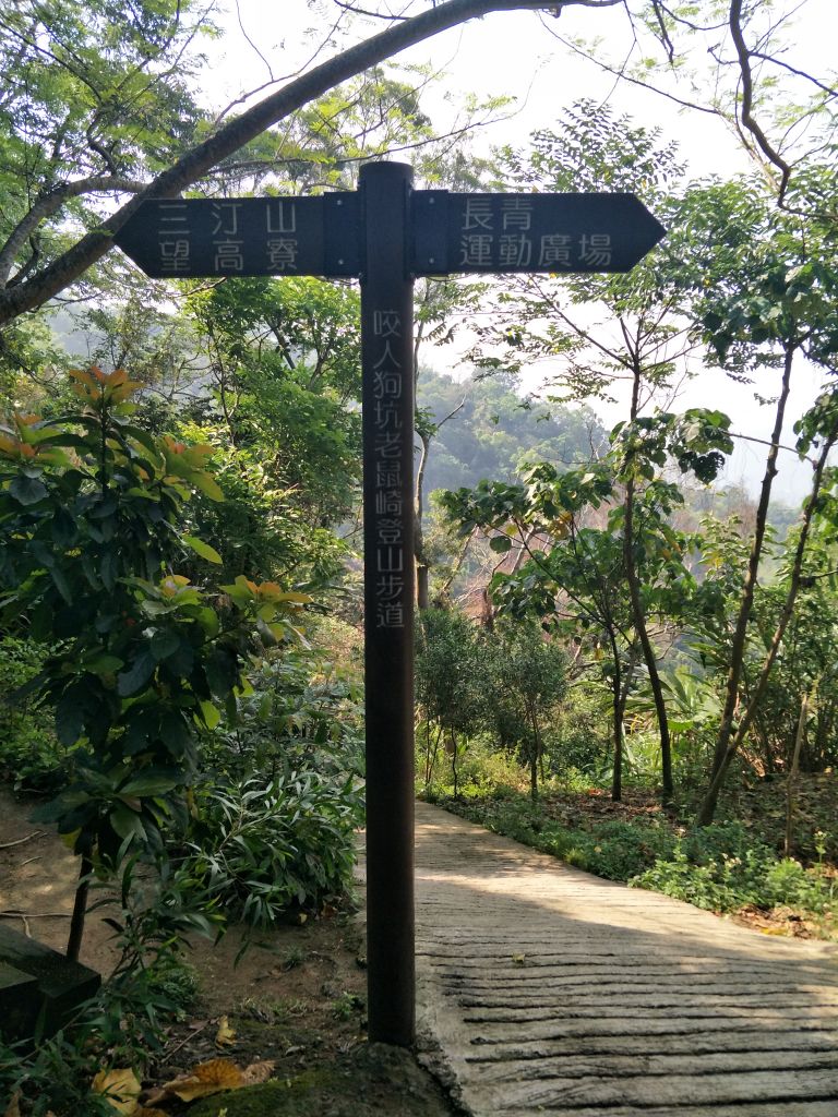 2018 04 18 咬人狗坑登山步道(三汀山)_314144