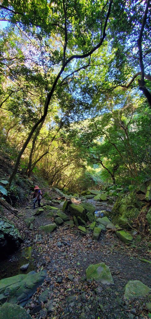2023-01-26女仍山步道_2010993