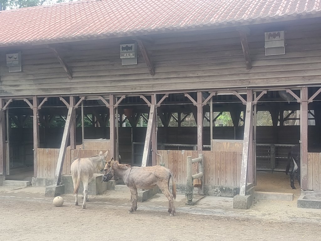 台北動物園_2664067