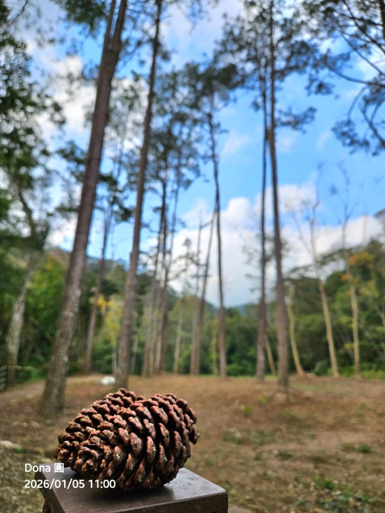 20260105高遶溪古圳步道P走+羅浮泡腳_2977843