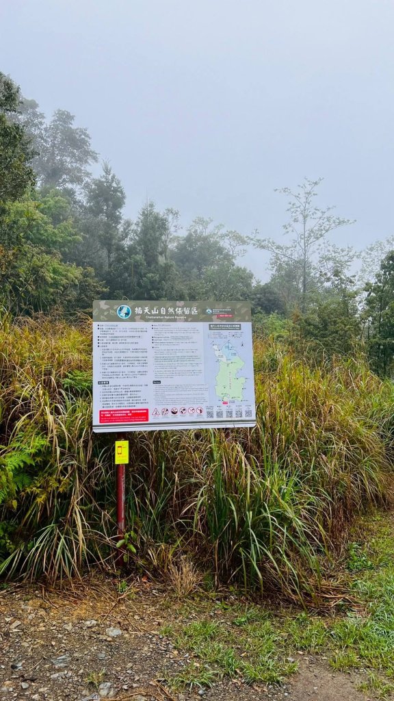 🌈4/13（日）（三）魔法森林-塔曼山~FB：熊熊趴爬走🌈_2761300