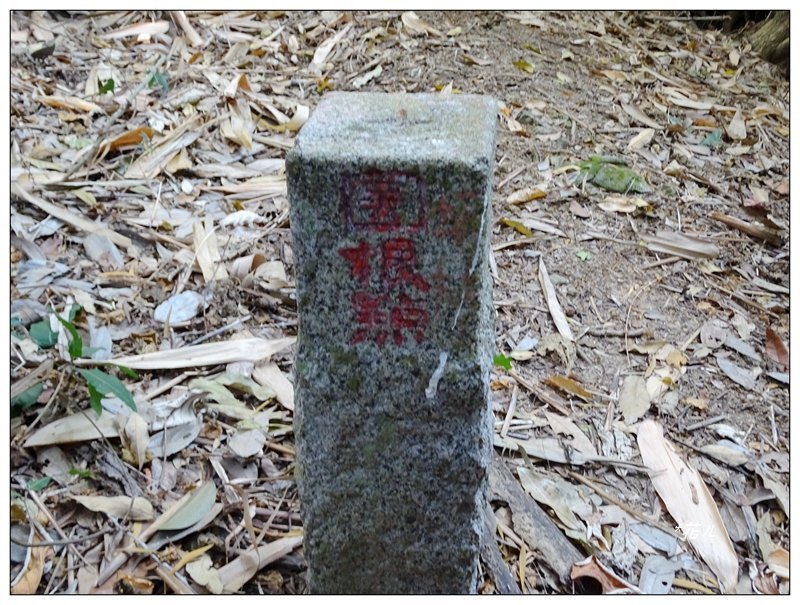 坪林山、三汀山連走 (台中、太平)_2022209