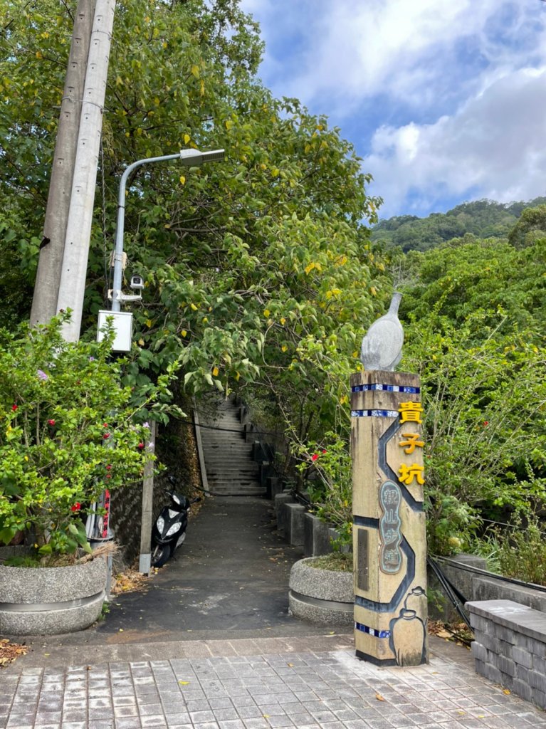 貴子坑親山步道&忠義山親山步道_1487098