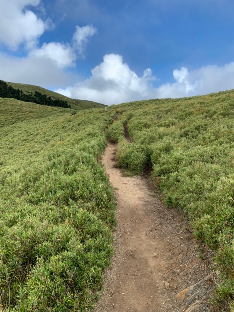 2019.09.28合歡西北峰_690634