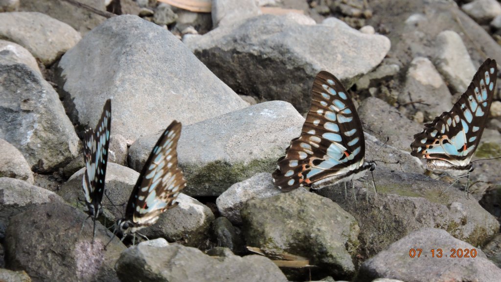 就是喜歡這個藍天白雲的FU_1032110
