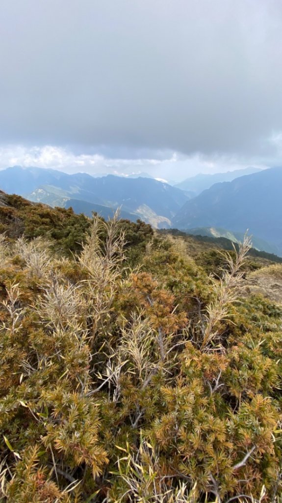 合歡北峰。時晴時霧時雲雨_1481405