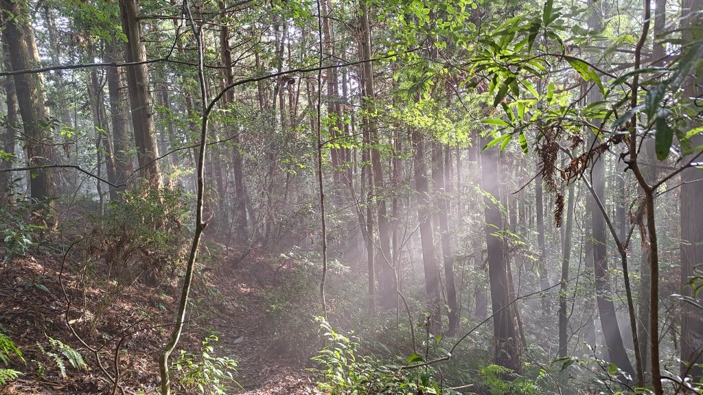 秀巒登虎禮山封面圖