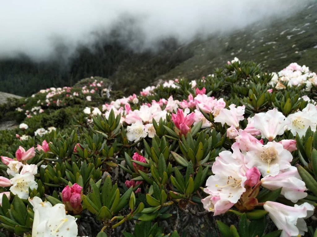 玉山主西東峰之行~_1081666