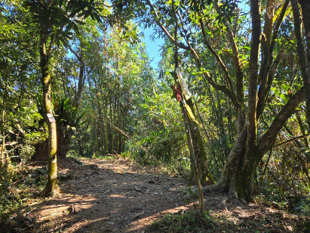 九龍山連走大凍山_2955716