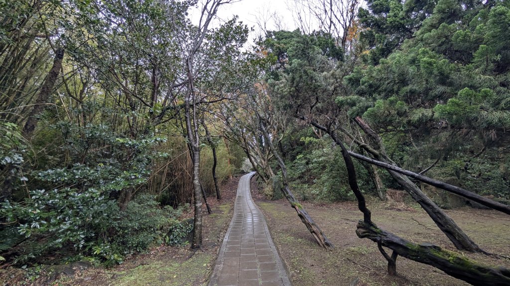 114.12.27尖山-40砲陣地之旅_2971730