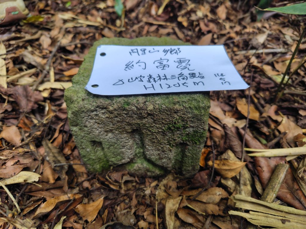 達娜伊谷-里美避難步道-巨石板步道-約富霓_2788539