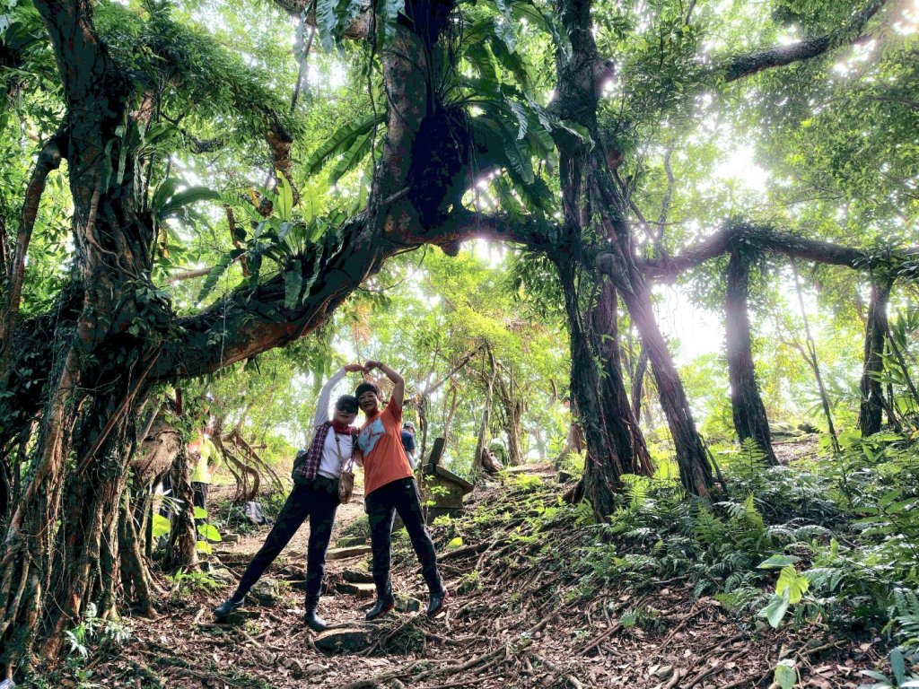20260117淡蘭北路三段隆嶺古道+雪山尾稜北段+福卯古道大O走_2990234