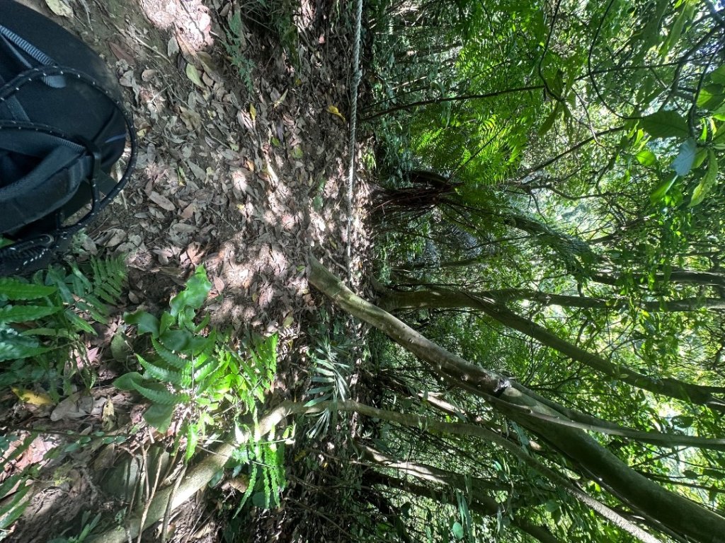 小百岳-012新北汐止-汐止大尖山_2600256