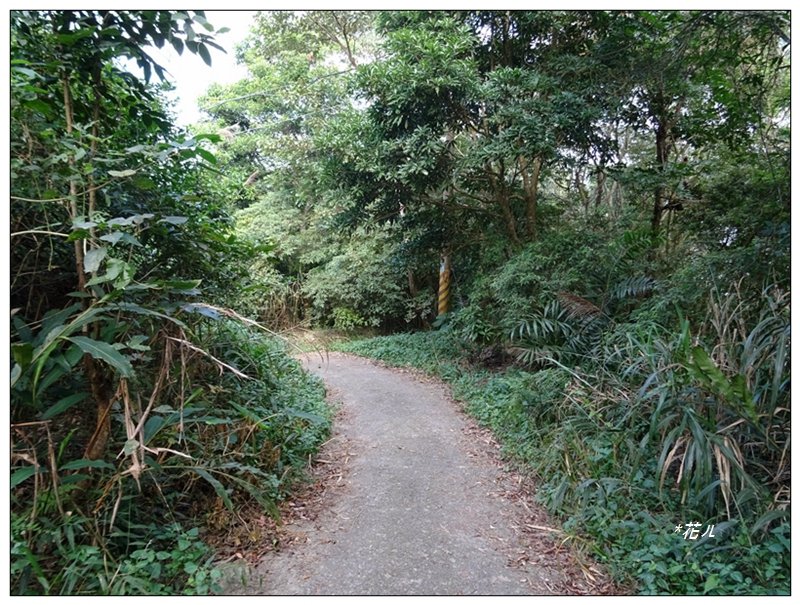 竹子尖山(小百岳)稜線步道O形一圈_2355535