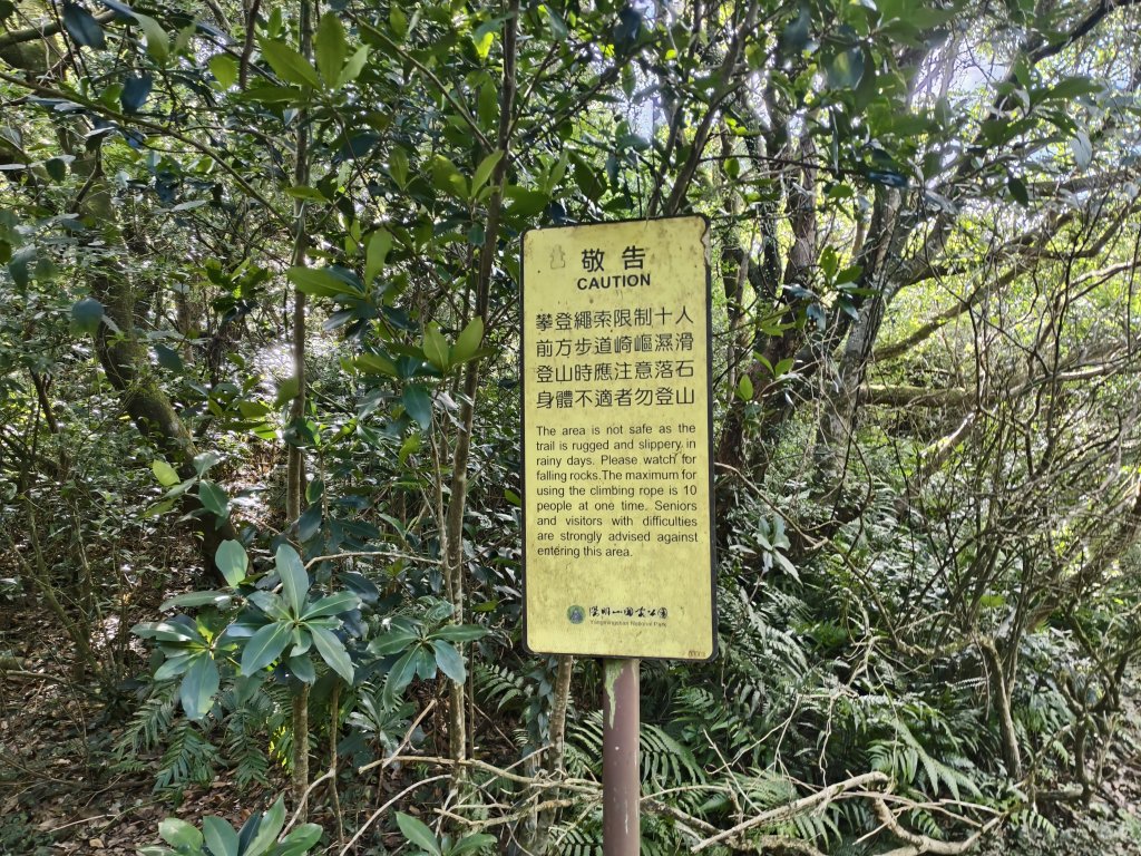 [百山百鳥尋旅-11/15] 2025_0927 大屯主峰-連峰步道_大屯山南峰_2899351