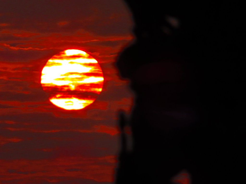 跟著花開去旅行：碧山巖櫻花及大溝溪花海_876659