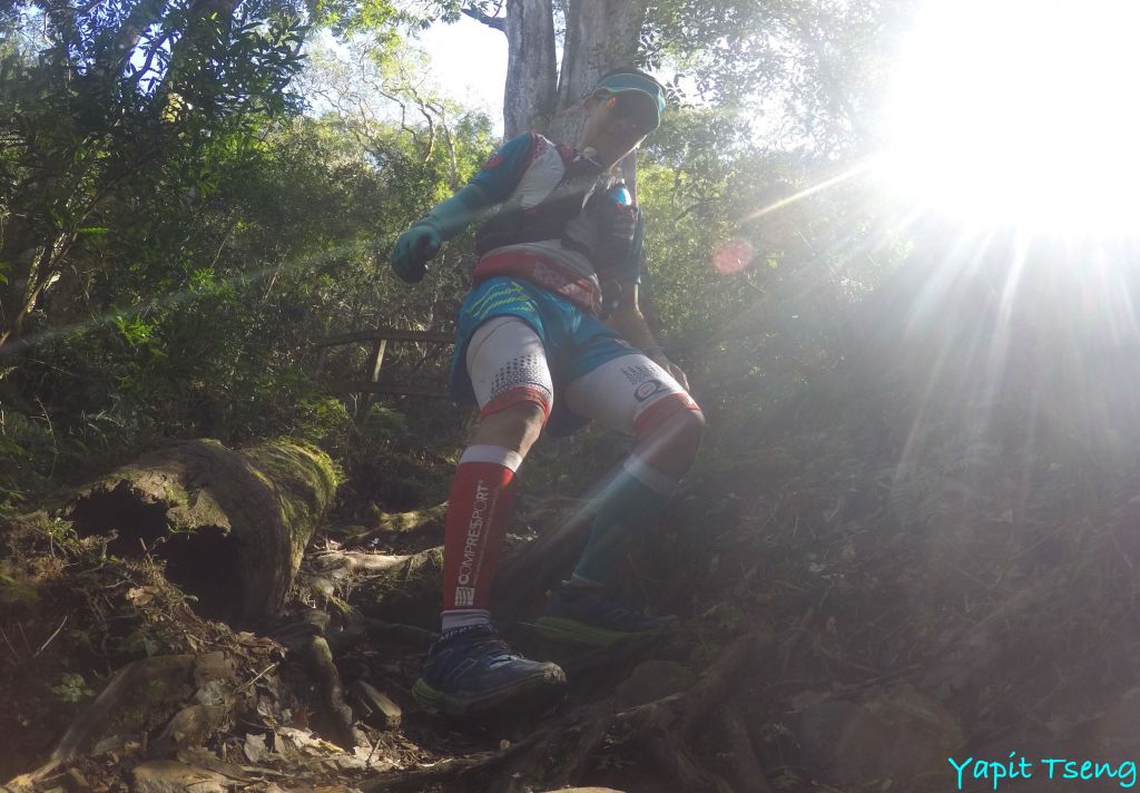 北得拉曼神木步道 內鳥嘴山封面圖