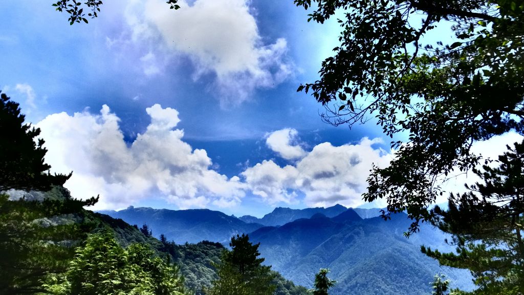 【新竹觀霧】雲霧步道_169208