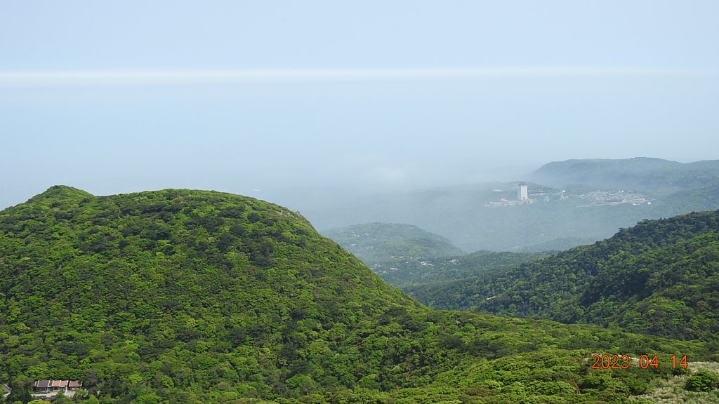 邂逅江湖傳說已久鐘萼木(據說冰河孓遺植物)，再見差強人意的月光/日出雲海_2112208