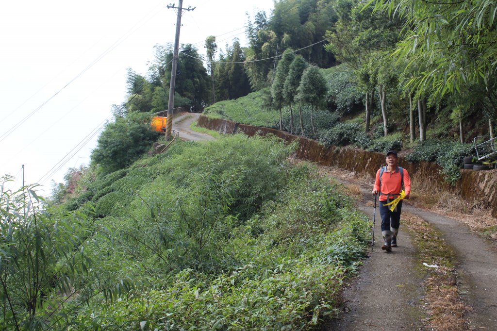 20201024南投龍鳳山O型縱走_1145110