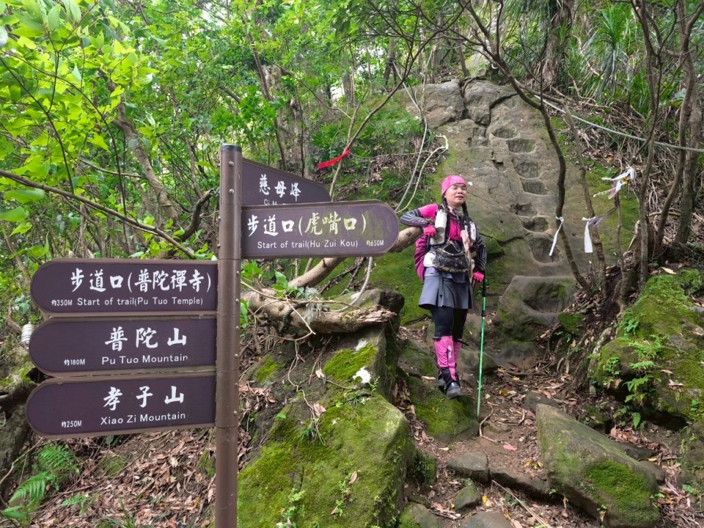 微笑山⛰️線-大棟-二格山-五分山-天上山-鳶山💎12條步道完成💙_2836447