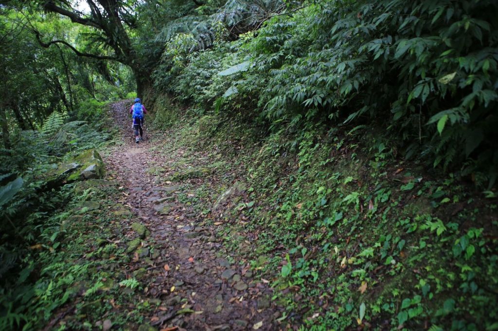 灣潭古道_345145