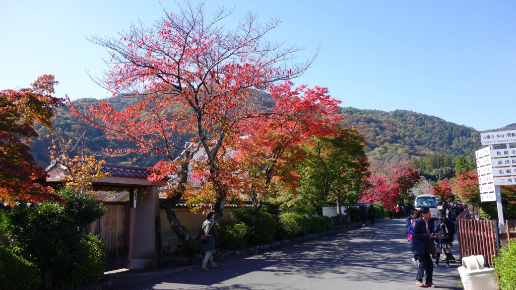 日本京都嵐山_651873