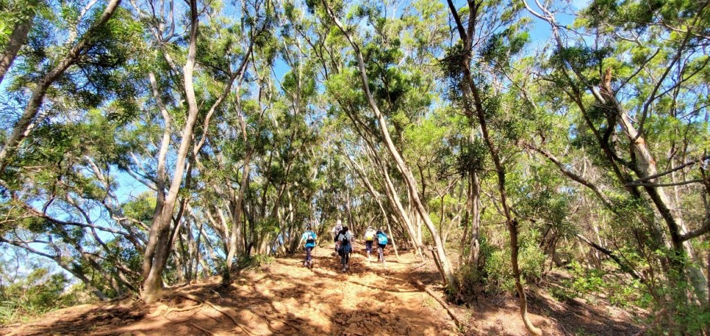 2021-10/17-苗栗三義-火炎山_1492378