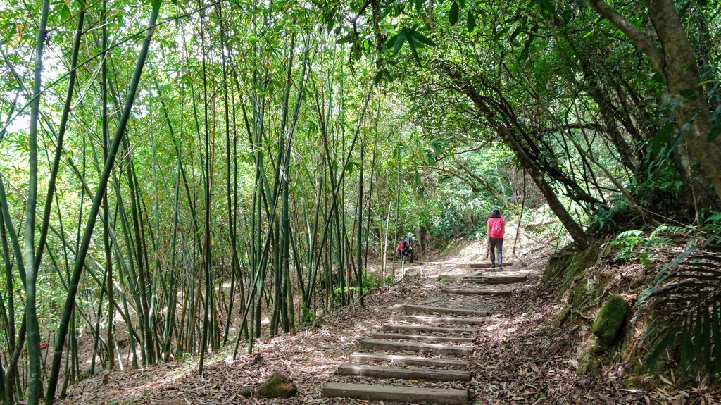 三貂嶺,中坑,柴寮古道_1838275