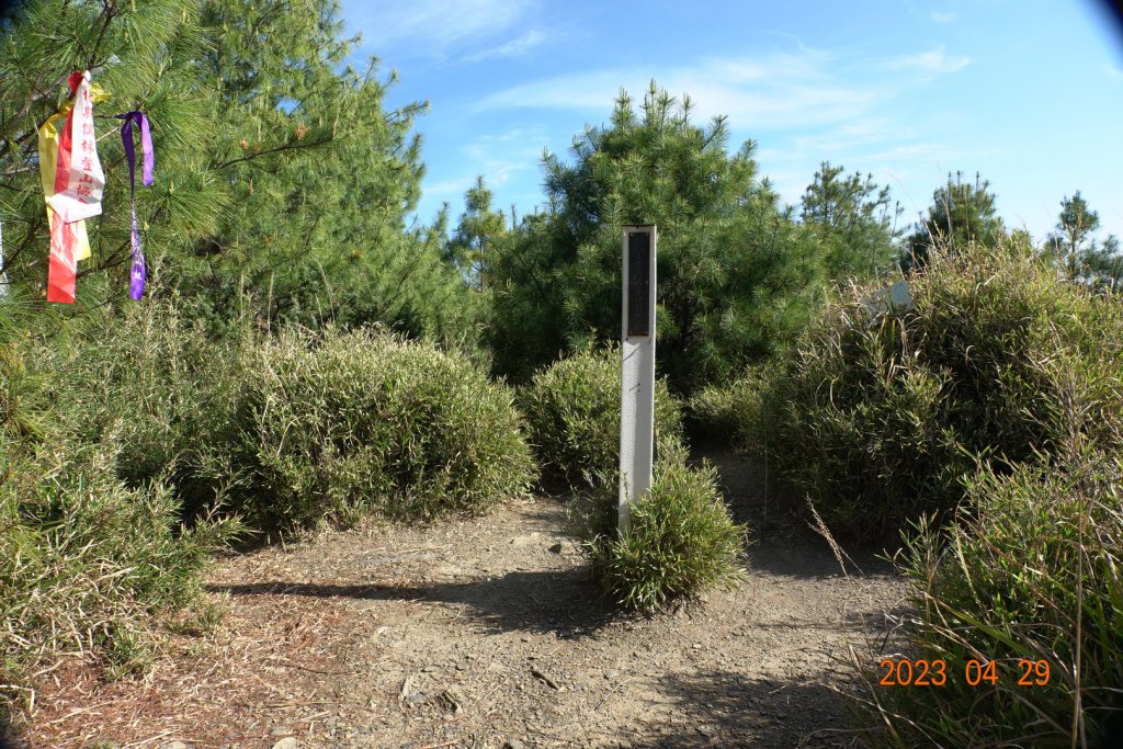 南投 仁愛 武法奈尾山_2133793