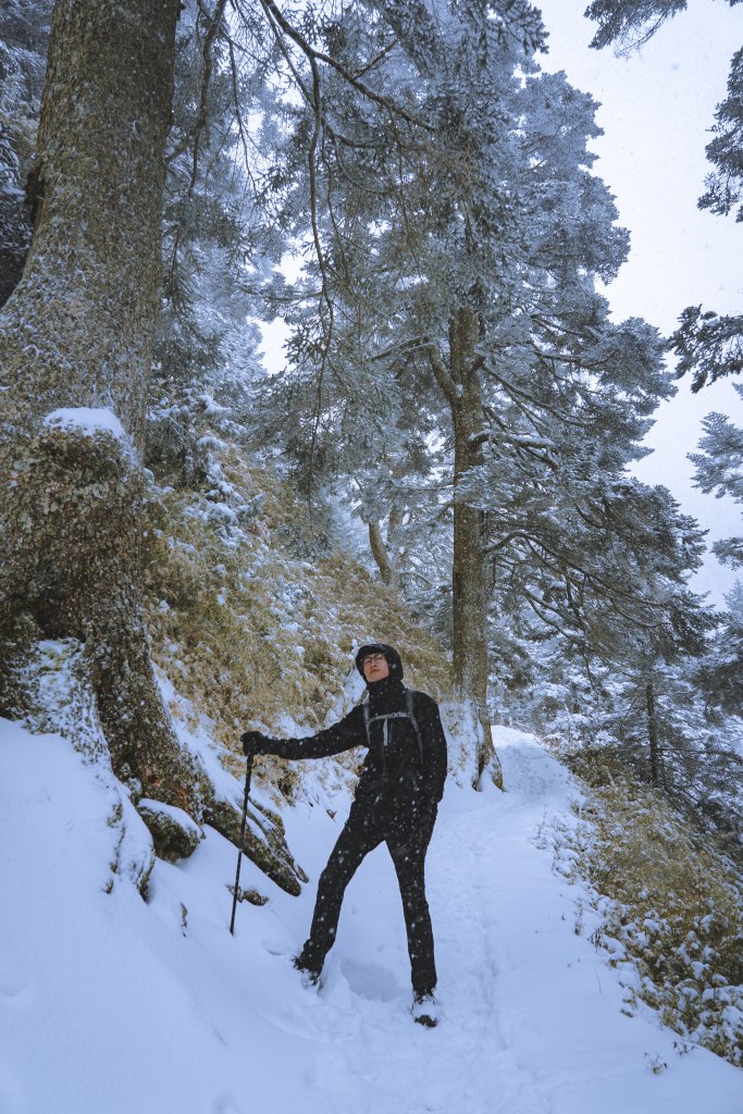 Mt.Jade -玉山冬雪_915216