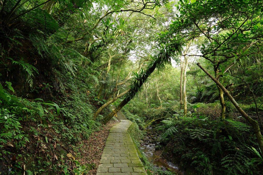 臺北 南港 南港山、拇指山、象、獅、豹、虎、四分里山、茅草埔山_2803415
